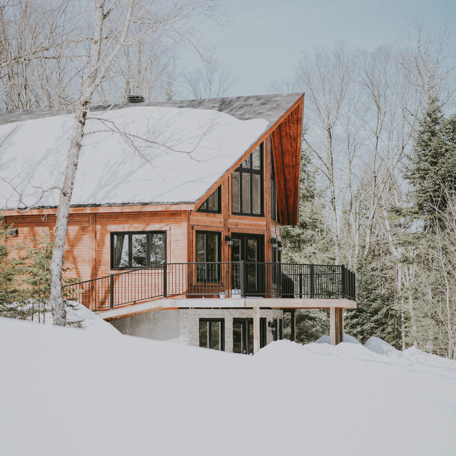 Happy Cleaners - Snöskottning
